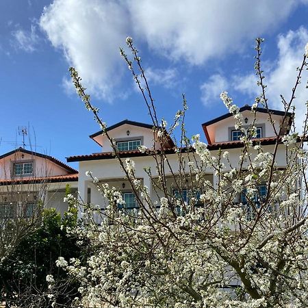 Majo Alojamento Local Bed & Breakfast Tábua Eksteriør bilde