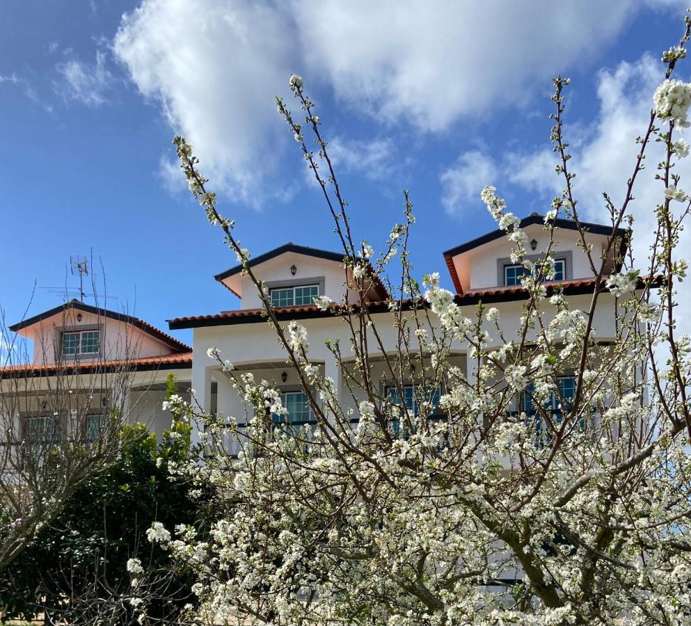 Majo Alojamento Local Bed & Breakfast Tábua Eksteriør bilde